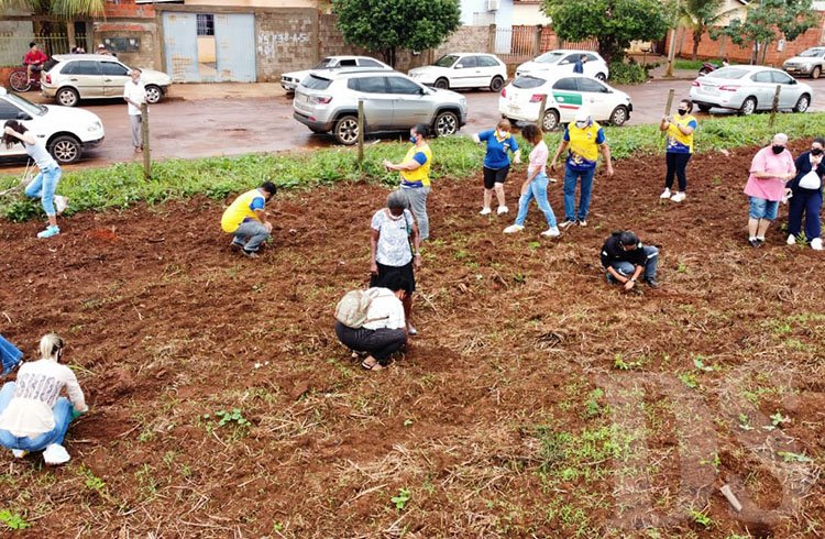 Com apoio do Lions Clube, 360 mudas de árvores são plantadas em homenagem às vítimas da Covid-19 em Tangará da Serra