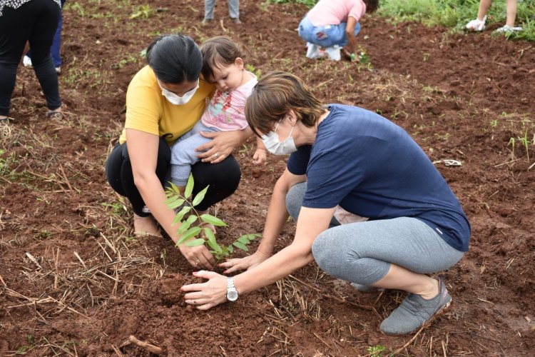 Com apoio do Lions Clube, 360 mudas de árvores são plantadas em homenagem às vítimas da Covid-19 em Tangará da Serra